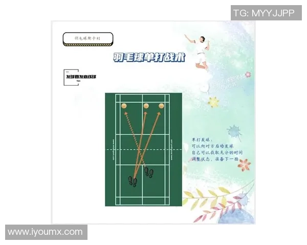 全国锦标赛分析:北京羽毛球队技术水平与战术运用的全面评估