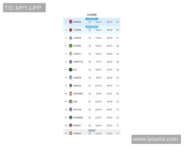 成都足球队在总决赛积分榜上以66分稳居第一名展现强劲实力