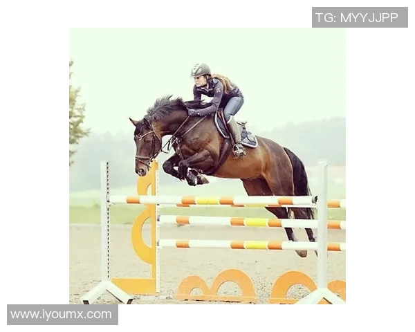 足球明星在社交媒体上的动态与影响力分析及其对球迷的吸引力