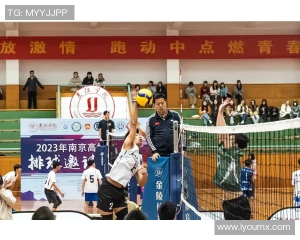 重庆排球队的辉煌征程与冠军赛背后的奋斗故事