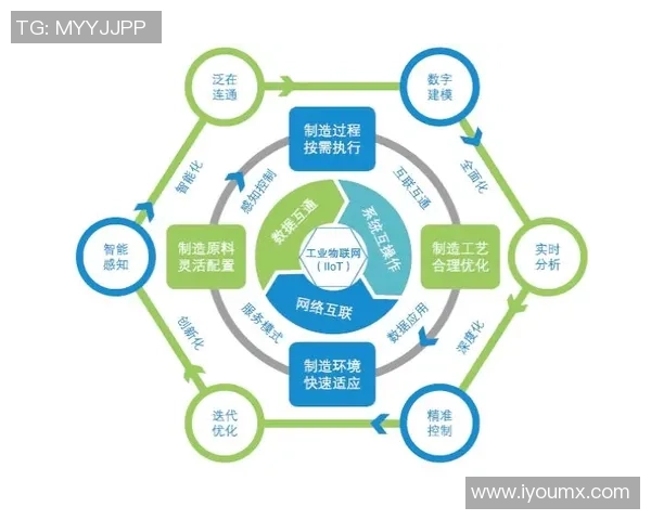杭州排球队在钻石联赛中的节奏表现分析与未来展望